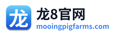 龙8官网